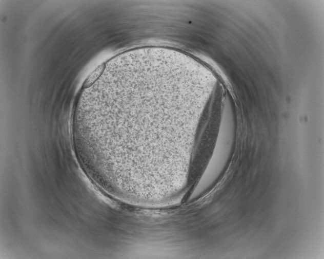 X0000085780910200704131826