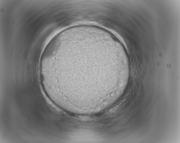 X0000085780911200704131826