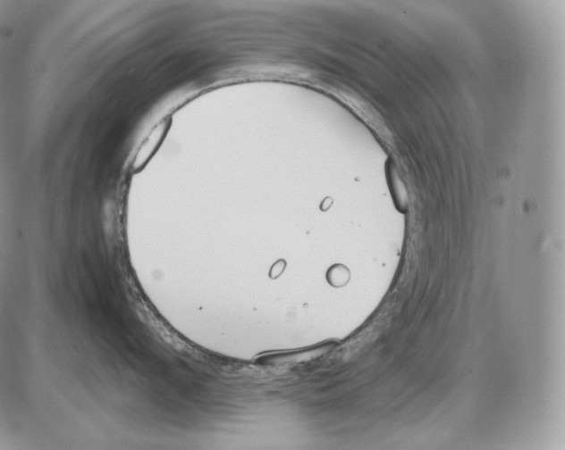 X0000085780912200704131826