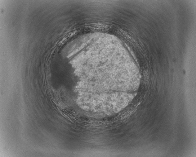 X0000085780913200704131825