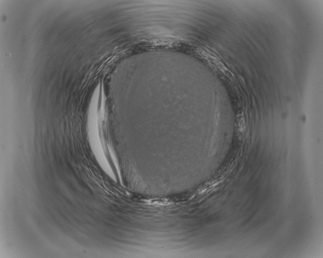 X0000085780916200704131825