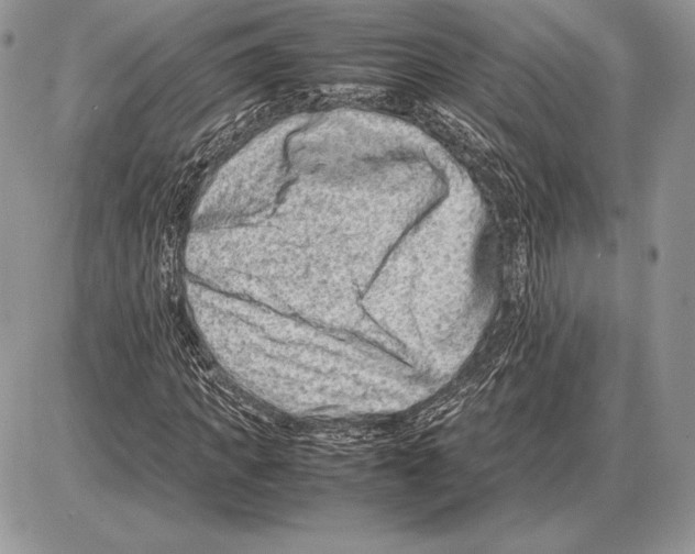 X0000085780917200704131825