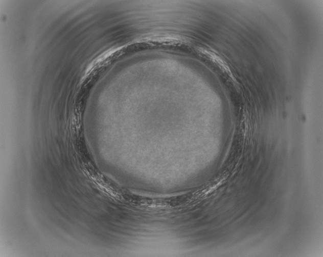 X0000085780920200704131825