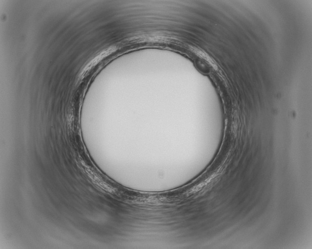 X0000085780922200704131825