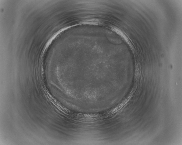 X0000085780923200704131825