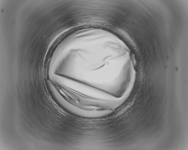 X0000085780924200704131825