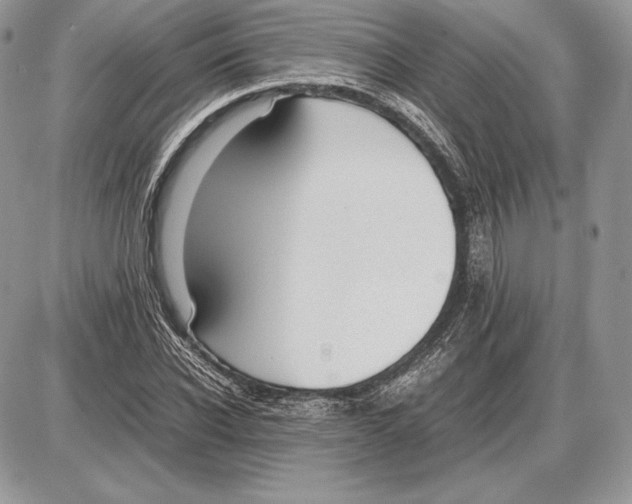 X0000085780926200704131825