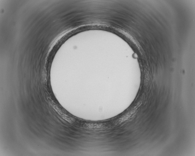 X0000085780927200704131825