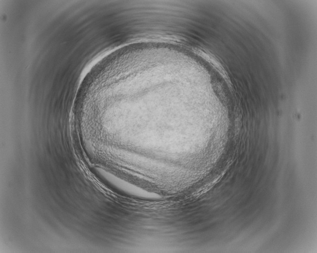 X0000085780928200704131825