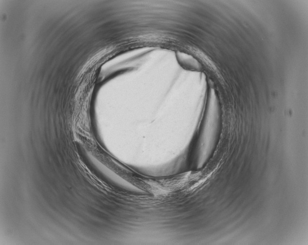 X0000085780930200704131825