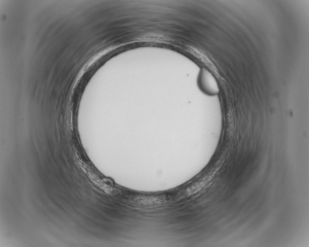 X0000085780931200704131825