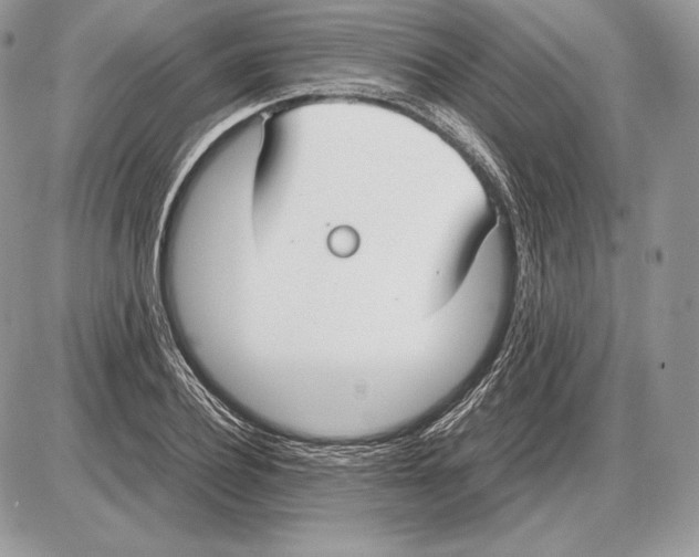 X0000085780932200704131825