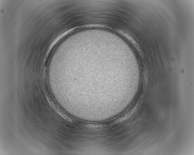 X0000085780933200704131825