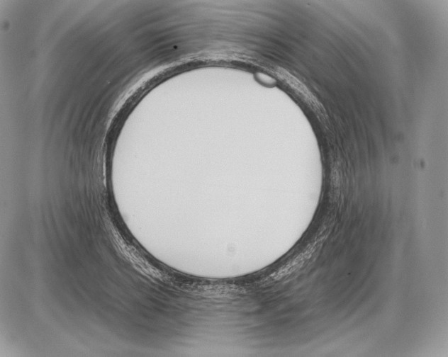 X0000085780934200704131825