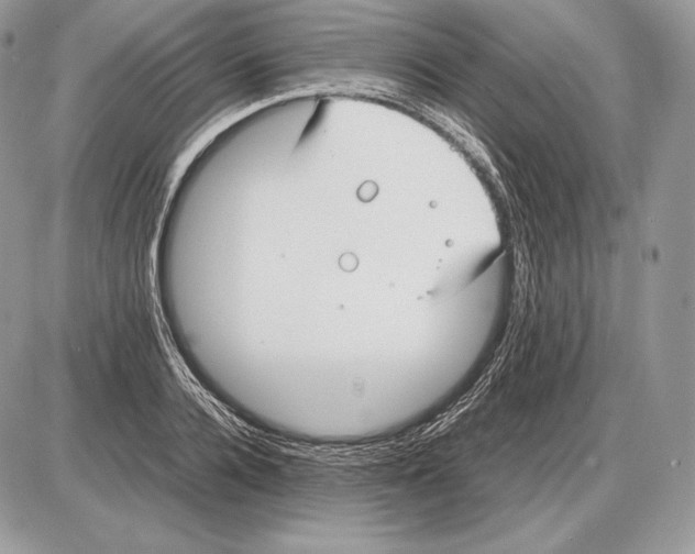 X0000085780936200704131825