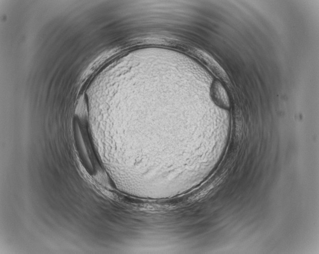 X0000085780938200704131825