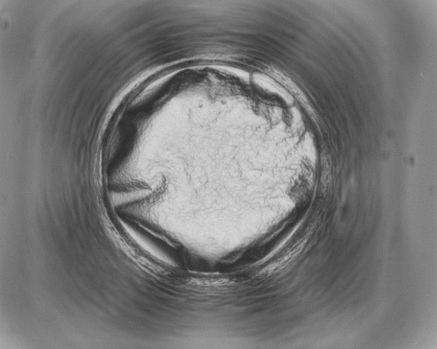 X0000085780939200704131825