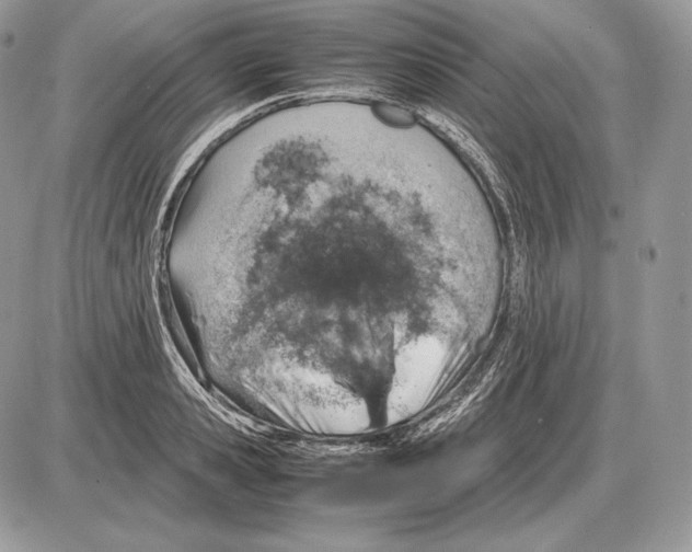 X0000085780941200704131825