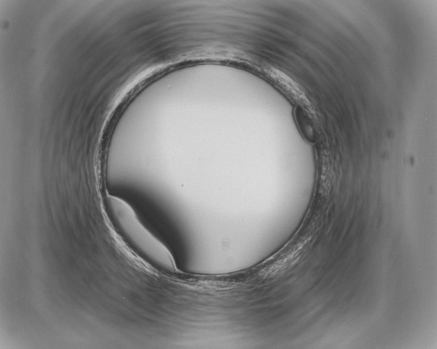 X0000085780942200704131825