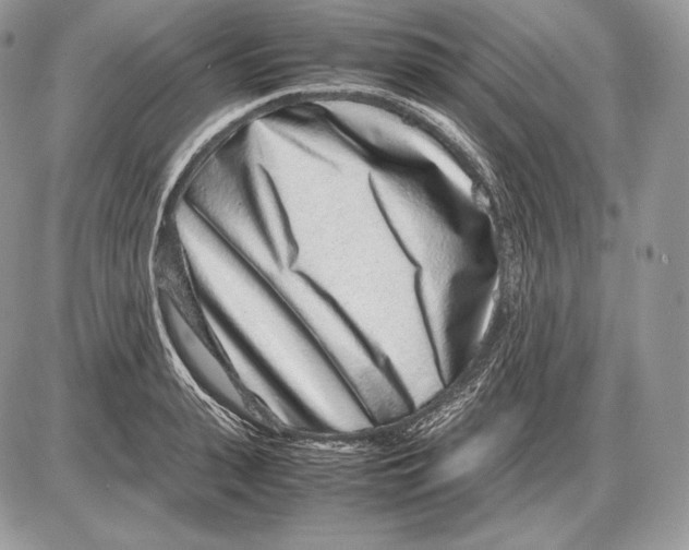 X0000085780943200704131825