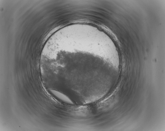 X0000085780945200704131825