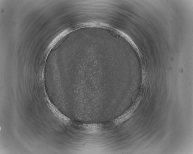 X0000085780946200704131825