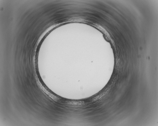 X0000085780947200704131825