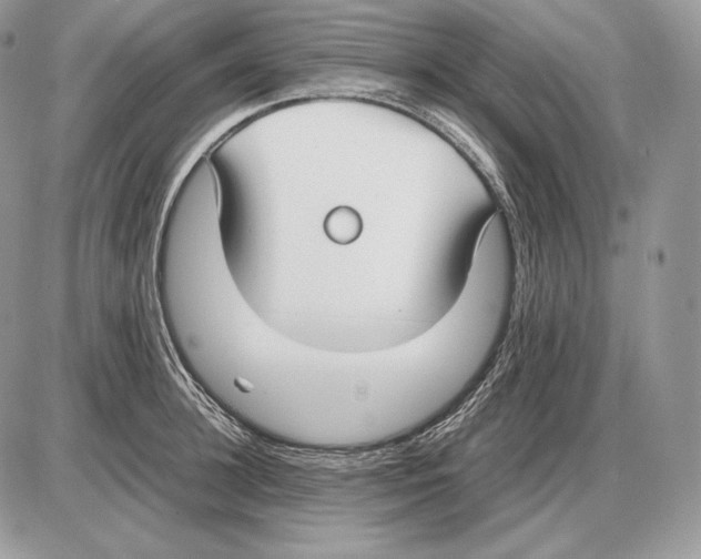 X0000085780948200704131825