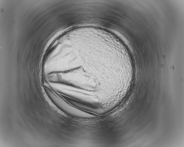 X0000085780949200704131825