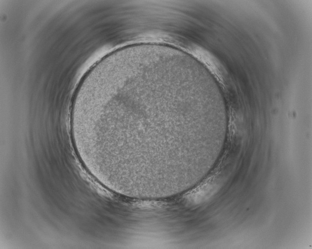 X0000085780950200704131825