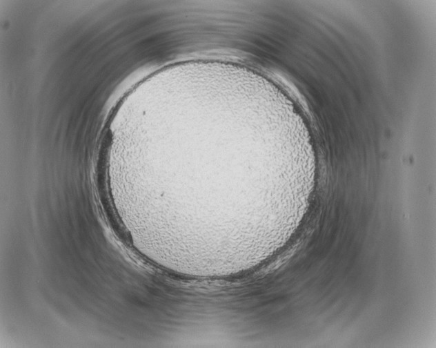 X0000085780952200704131825