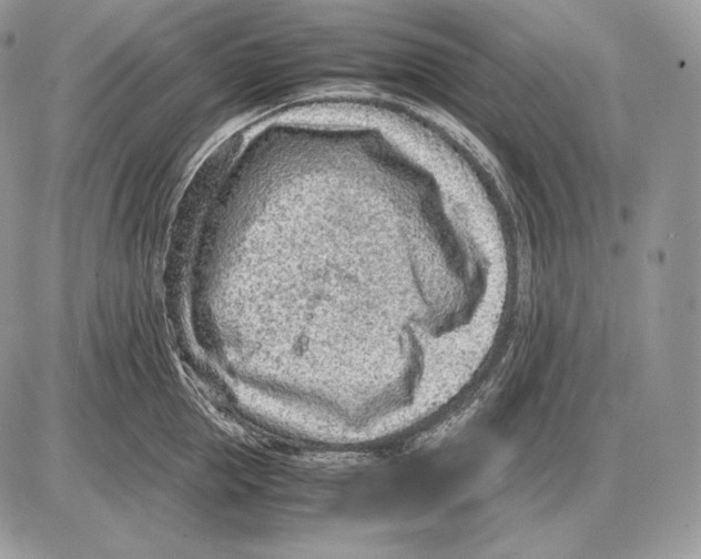 X0000085780953200704131825