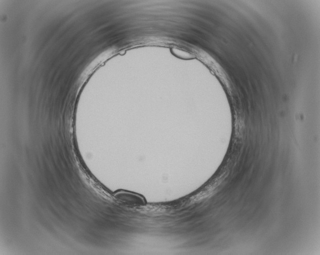 X0000085780954200704131825