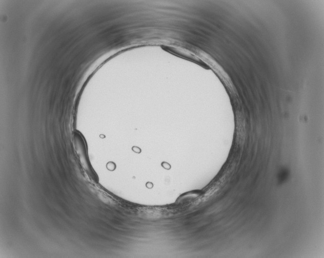 X0000085780956200704131825