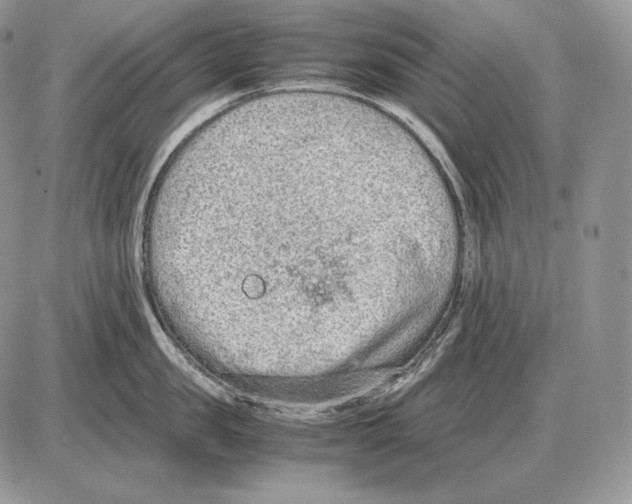 X0000085780957200704131826