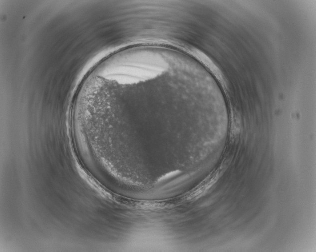 X0000085780958200704131826