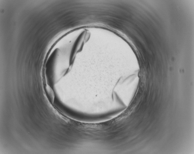 X0000085780959200704131826