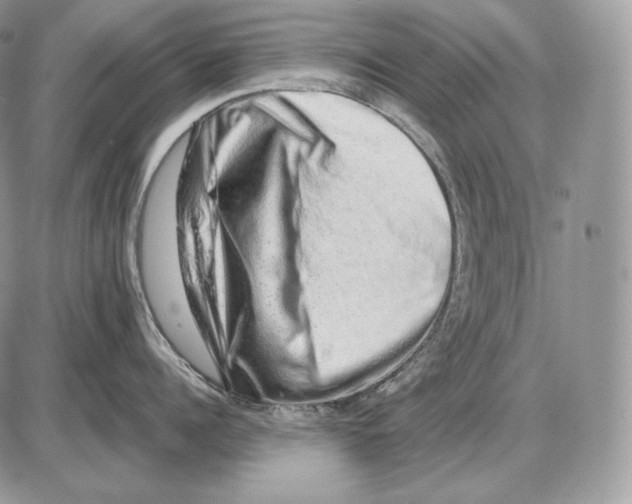 X0000085780960200704131826