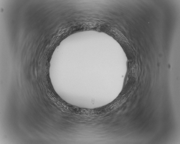 X0000085780961200704131825