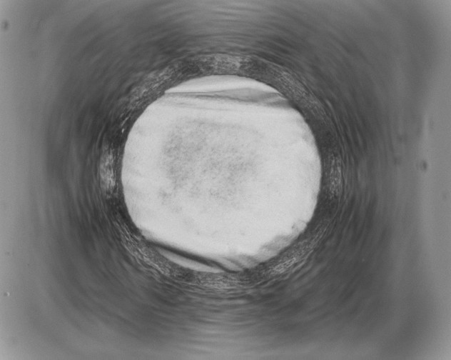 X0000085780962200704131825