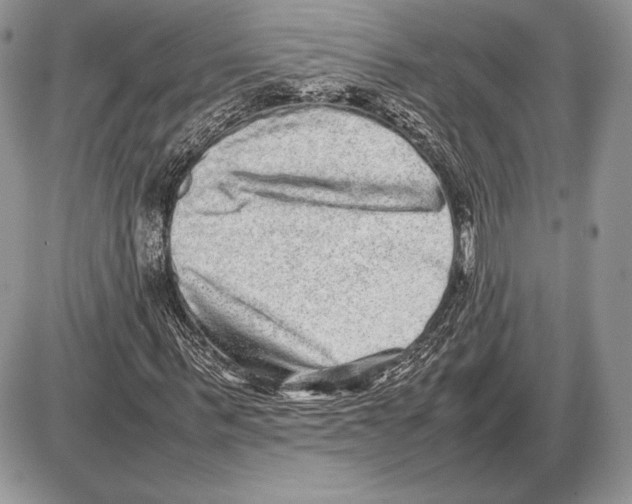 X0000085780963200704131825