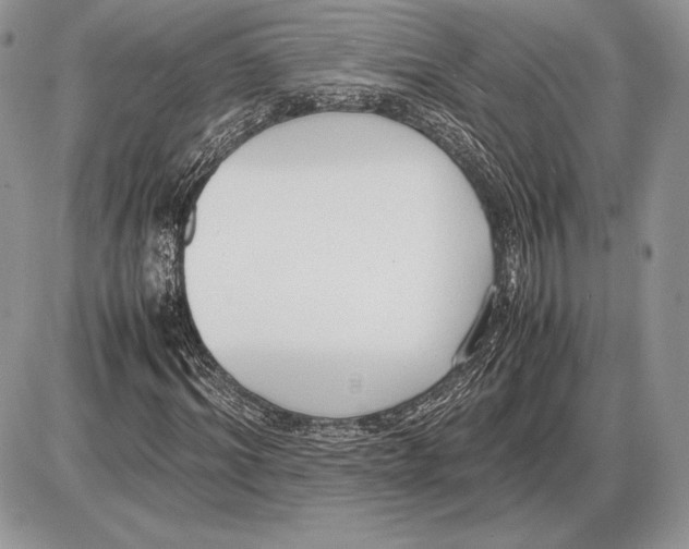 X0000085780964200704131825