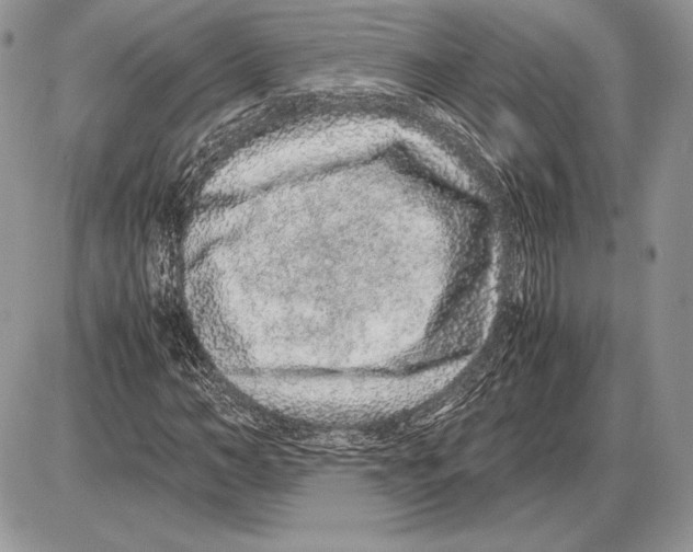 X0000085780966200704131825