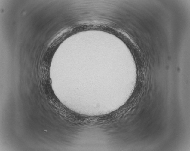 X0000085780967200704131825