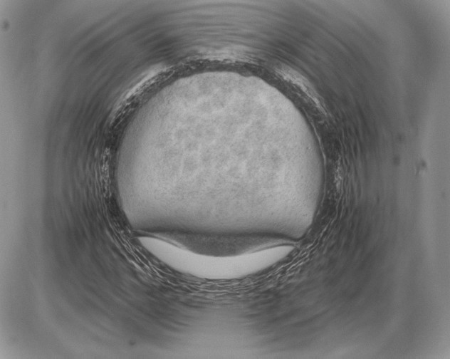 X0000085780968200704131825