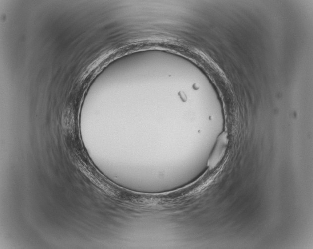 X0000085780969200704131825