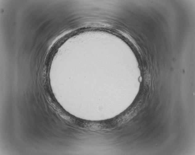 X0000085780971200704131825