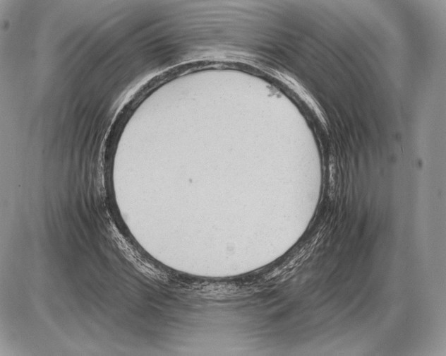 X0000085780972200704131825