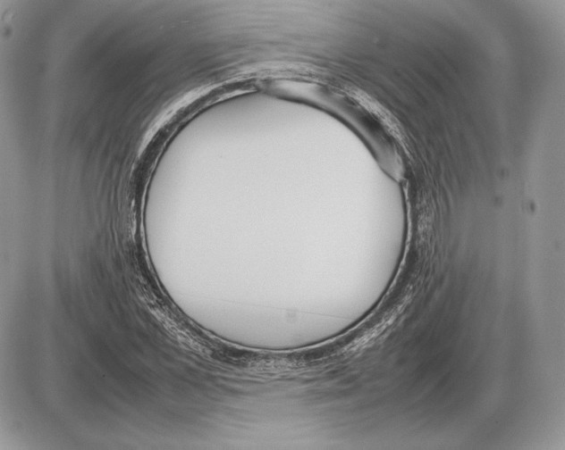 X0000085780973200704131825