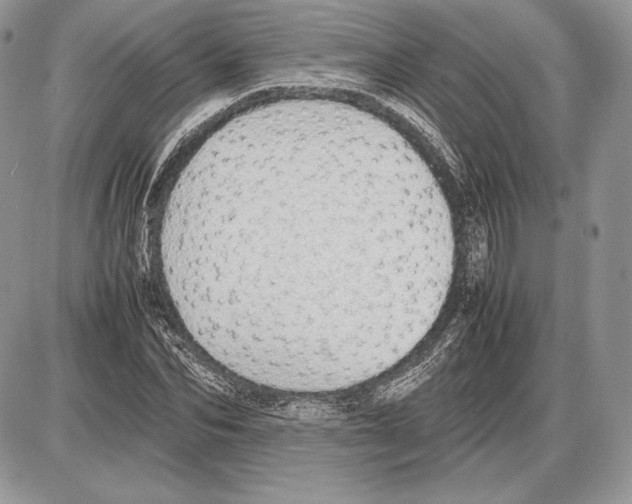 X0000085780974200704131825